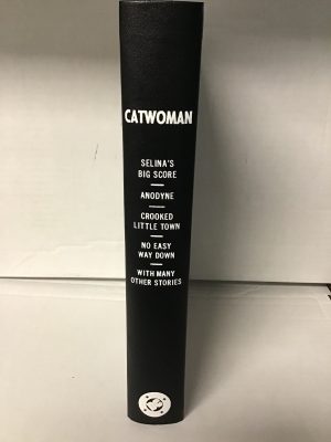 Catwoman: Selina's Big Score, Anodyne, Crooked Little Town, No Easy Way Down with Many Other Stories
